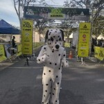 5K Animal - 17/07/2022